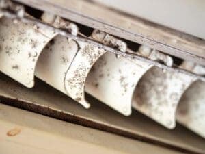 air conditioning mold