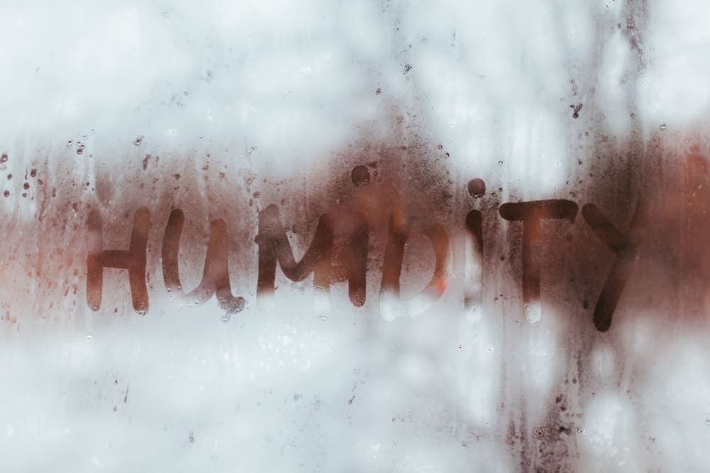 Reducing Humidity in Home