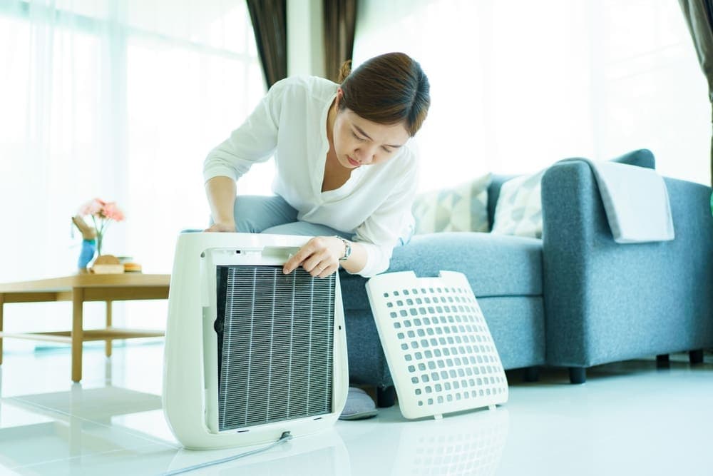 Where to Put an Air Purifier